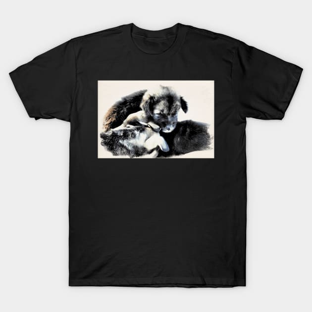 Puppies / Maléa is looking for the goblin - children's book WolfArt T-Shirt by RaphaelWolf